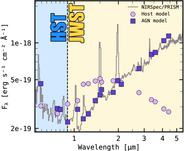 The NIRSpec/PRISM spectrum of the Saguaro at observed wavelengths (using the standard reduction from the DAWN JWST Archive), shown alongside the AGN–host decomposition photometry from GALFITM, scaled to match the NIRSpec/PRISM flux level at 2 μm. The vertical line indicates the transition from HST to JWST coverage, below which the UV photometry is provided solely by HST.