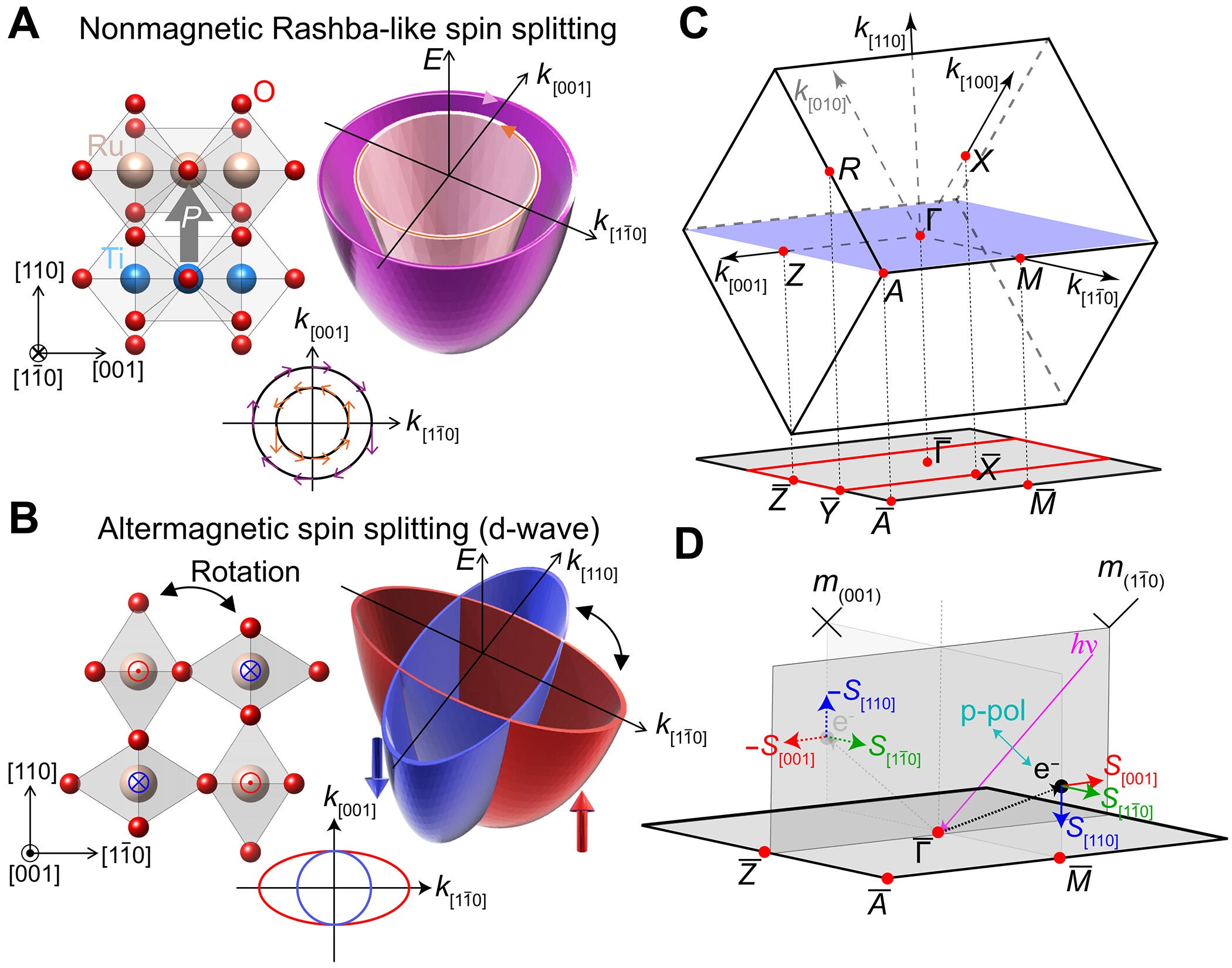 Proposed spin texture relevant in epitaxially strained RuO2 and a spin-resolved photoemission measurement geometry.