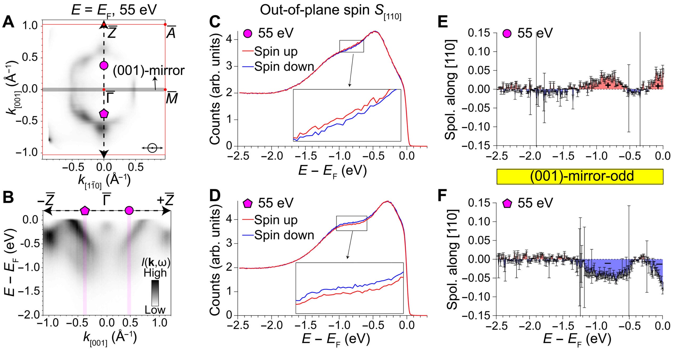 Out-of-plane photoelectron spin polarization.