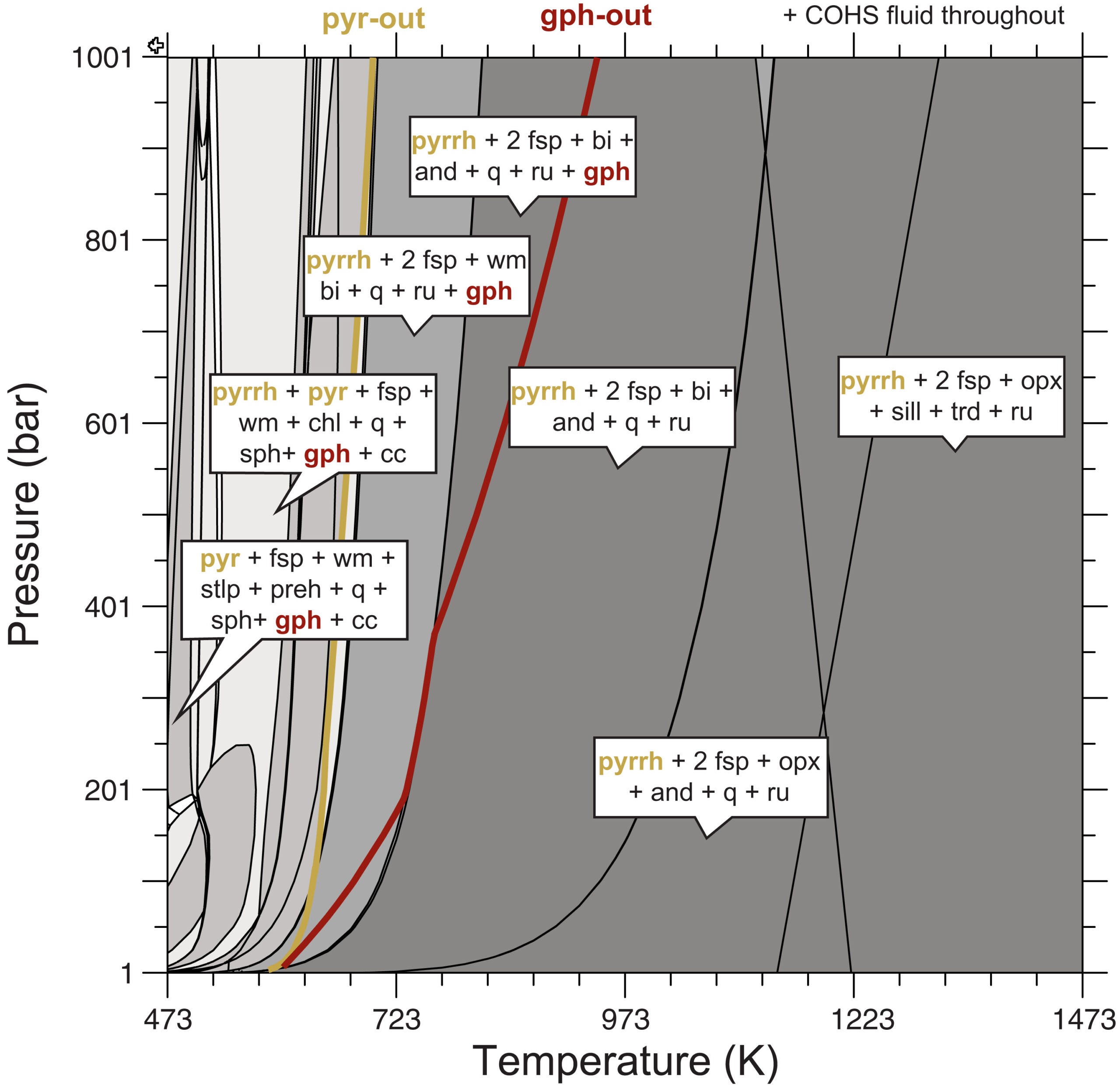 Equilibrium P-T phase diagram.