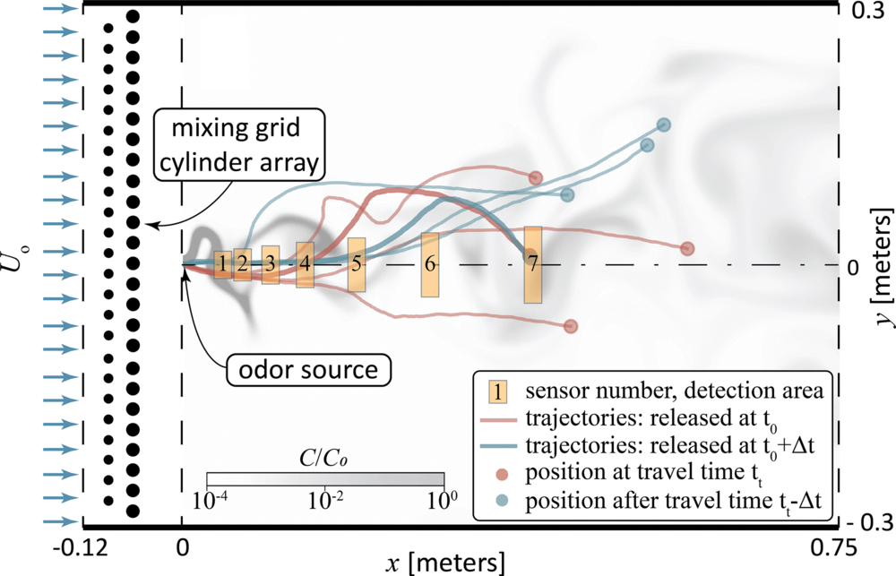 Schematic of the computational fluid dynamics model used for generating the velocity field for the paired-particle analysis, along with the concentration field for the idealized frequency production case.