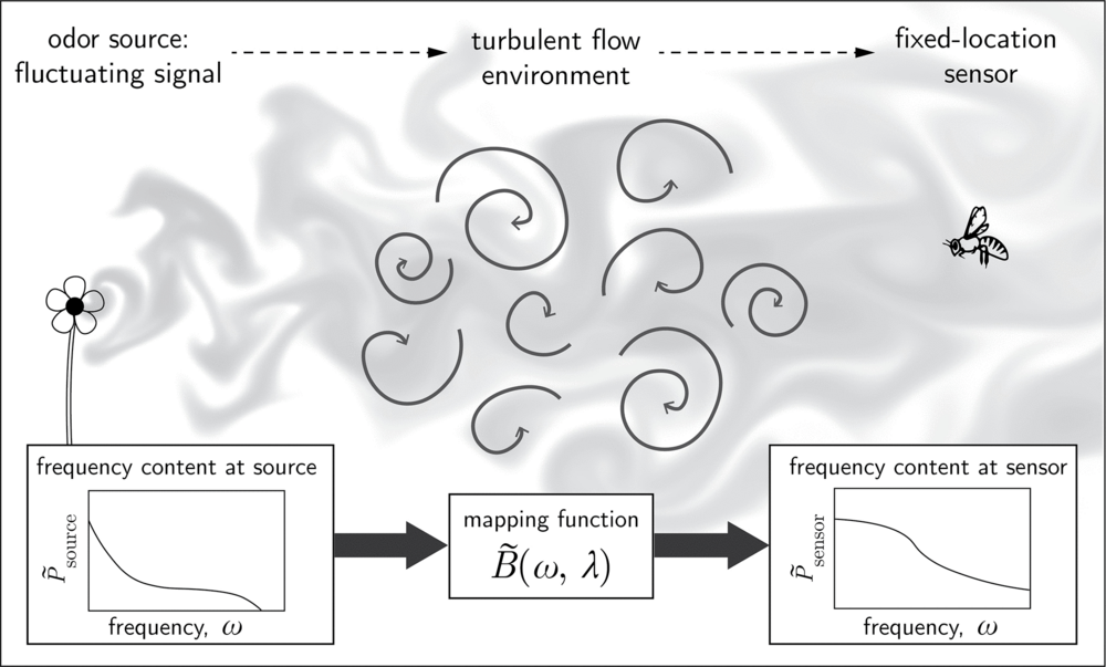 Conceptual overview of the system of interest, depicting a fluctuating source signal whose power spectrum,
P
̃
source
, is transformed by turbulent transport into a new spectrum at the sensor,
P
̃
sensor
.