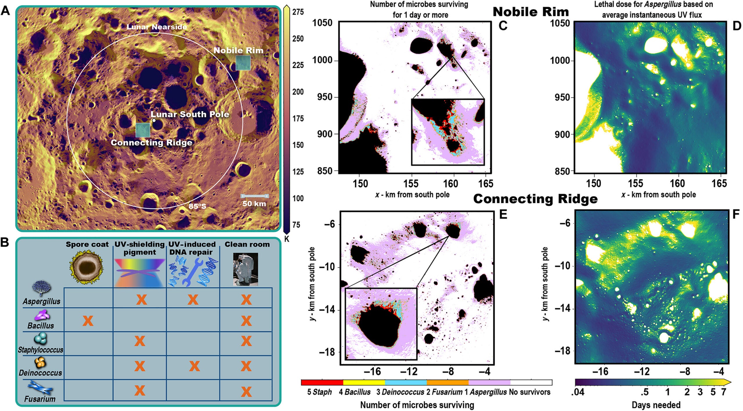 Microbial survival mechanisms and lunar surface conditions at Artemis III sites.