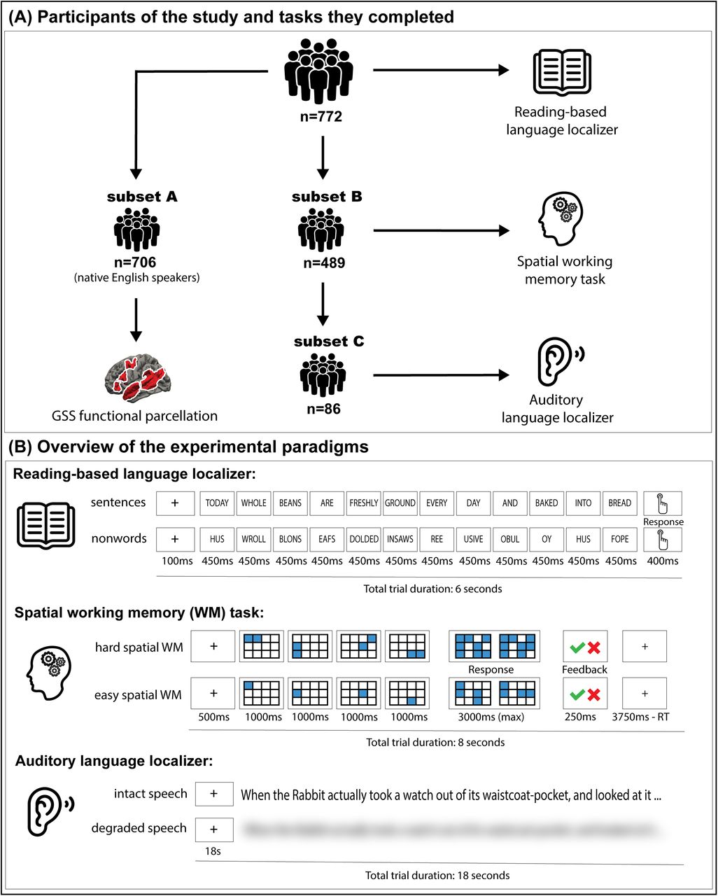 Overview of the dataset and paradigms.