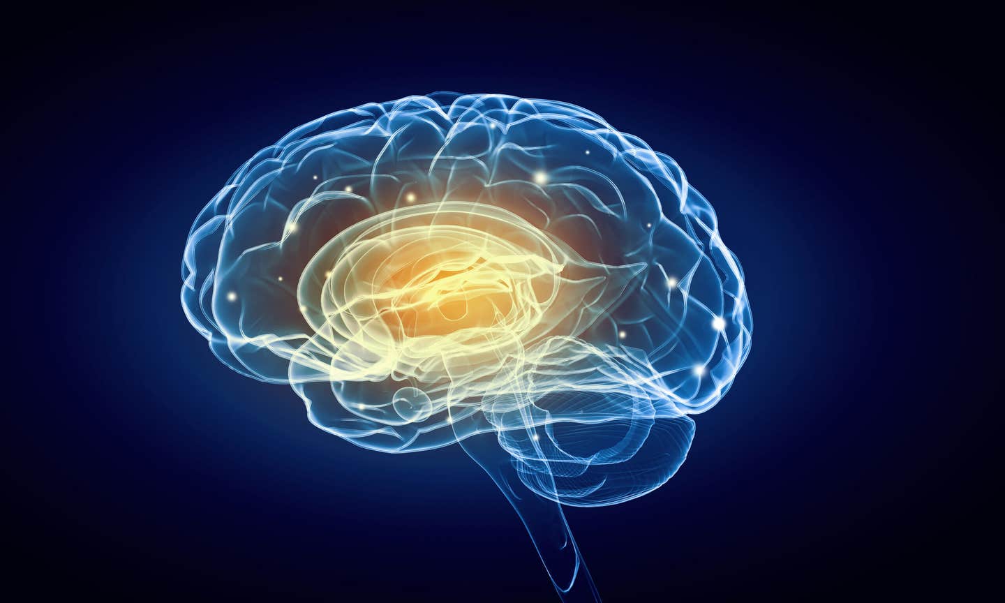 A new study finds that language processing extends beyond classic brain areas, revealing a wider network that supports communication.