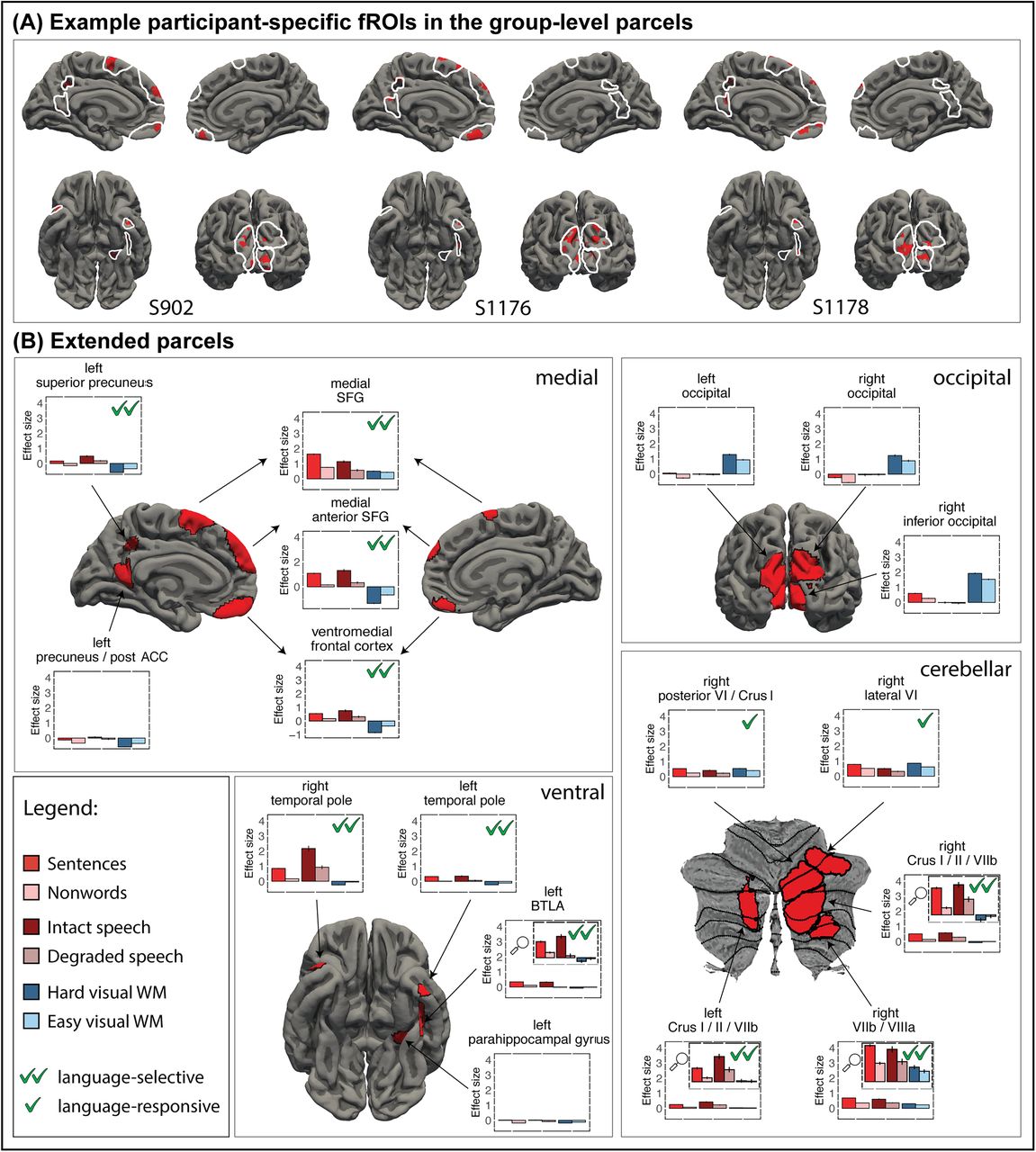 Language-responsive regions in the extended language network and their functional profiles.