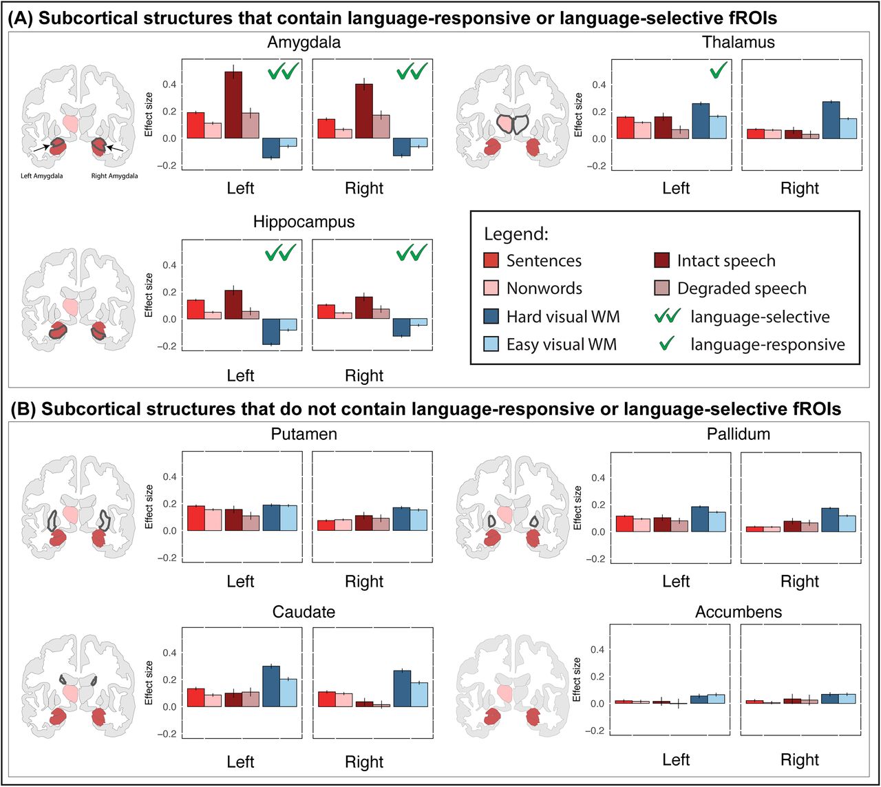 Language-responsive regions within the parcels in the Harvard-Oxford Subcortical atlas.