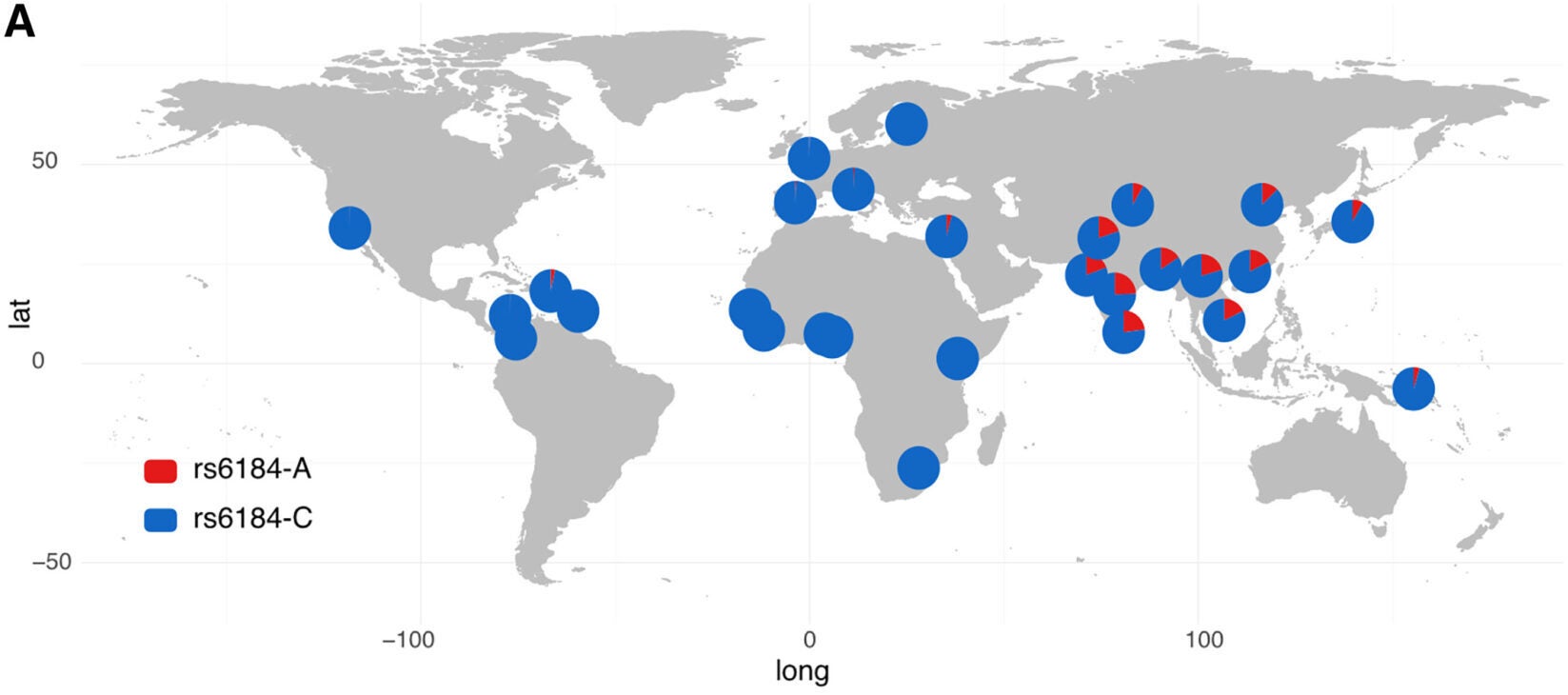 Geographical distribution of modern human samples from the 1000 Genomes Project22 and the Human Genome Diversity Project (HGDP)23 datasets carrying the two variants C422F and P561T.