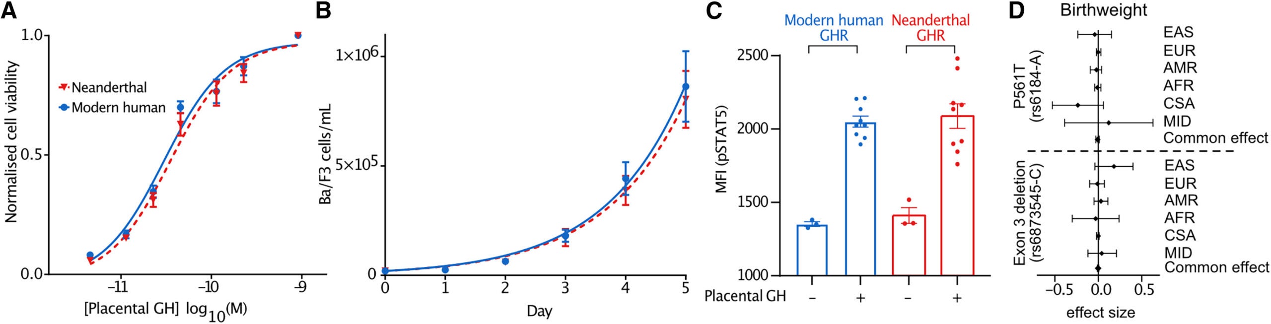 The effect of placental GH on GHR variants in Ba/F3 cells