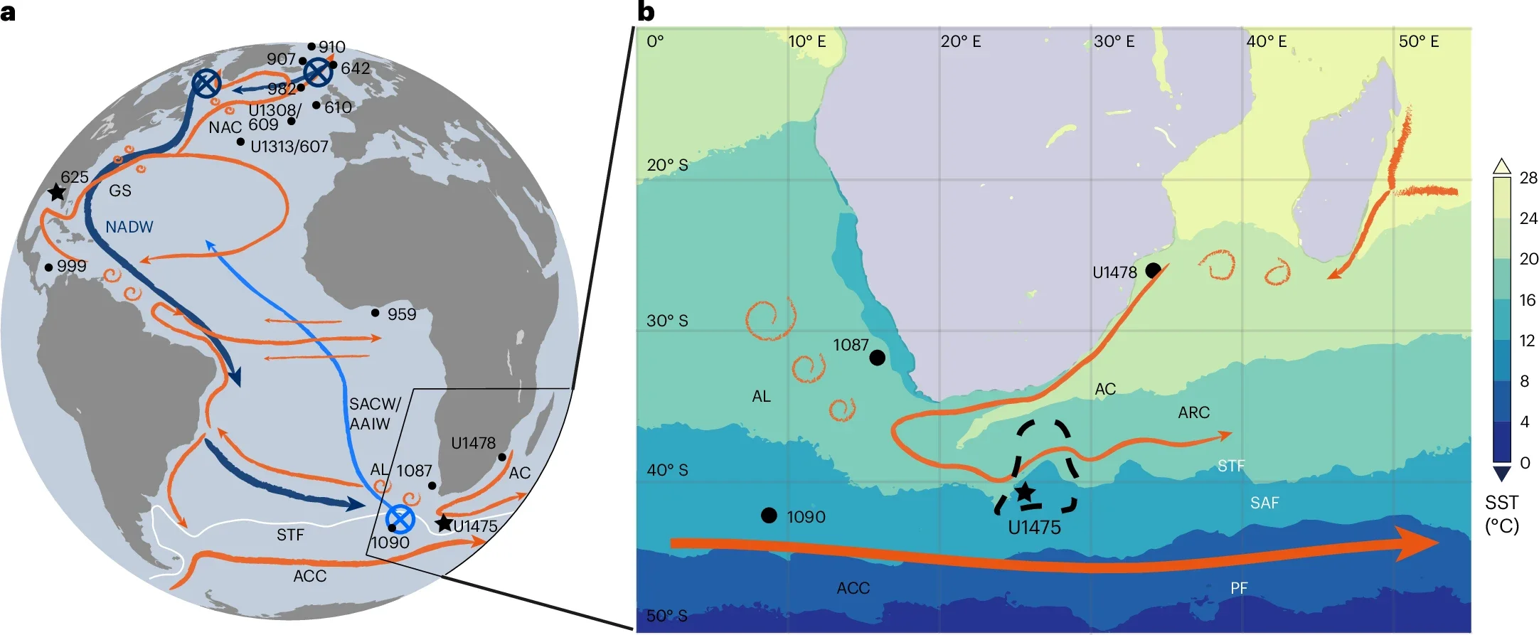 Schematic deep and surface ocean circulation in the Atlantic Ocean and Agulhas.