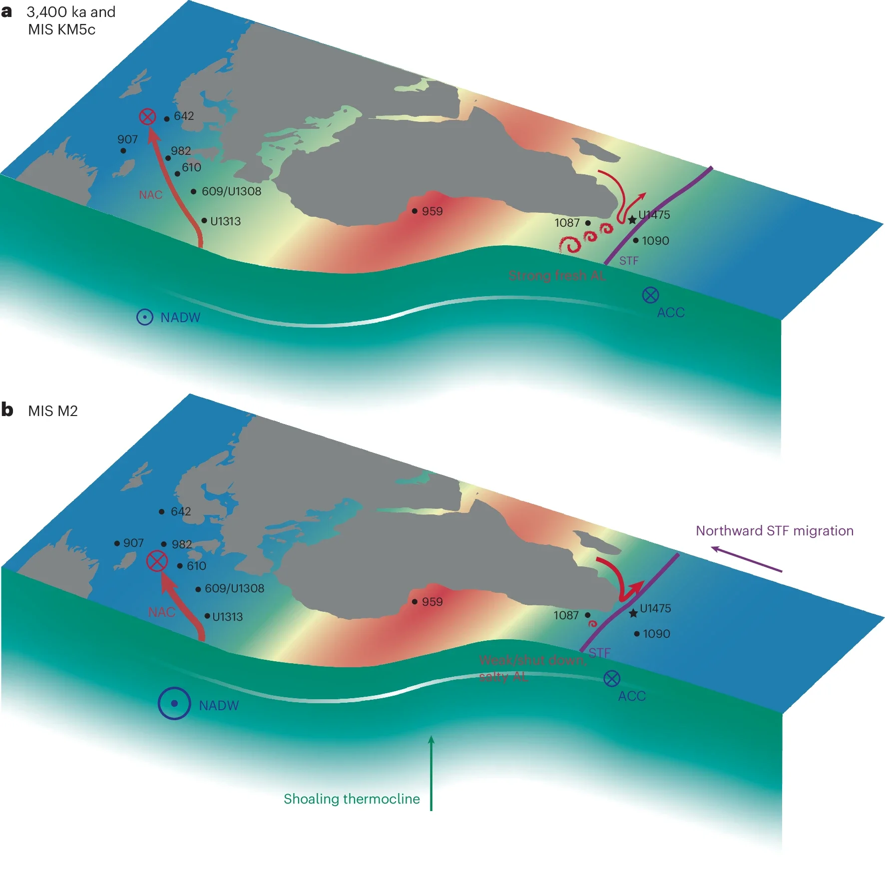 At 3,400 ka and during MIS KM5c, the STF was southerly positioned, allowing a strong, low-salinity AL into the Atlantic. NADW formation happened far north, and a large latitudinal SST gradient persisted in the North Atlantic.