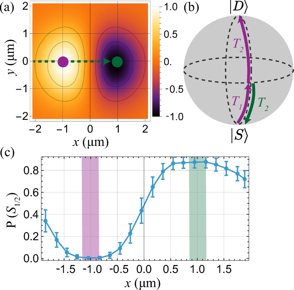 Phase of the quadrupole coupling. (a) Simulation of the signed Rabi frequency of the Δmj=+1 transition with ϵ^⊥B⊥k as a function of tweezer position x, showing that the two lobes have opposite phase.