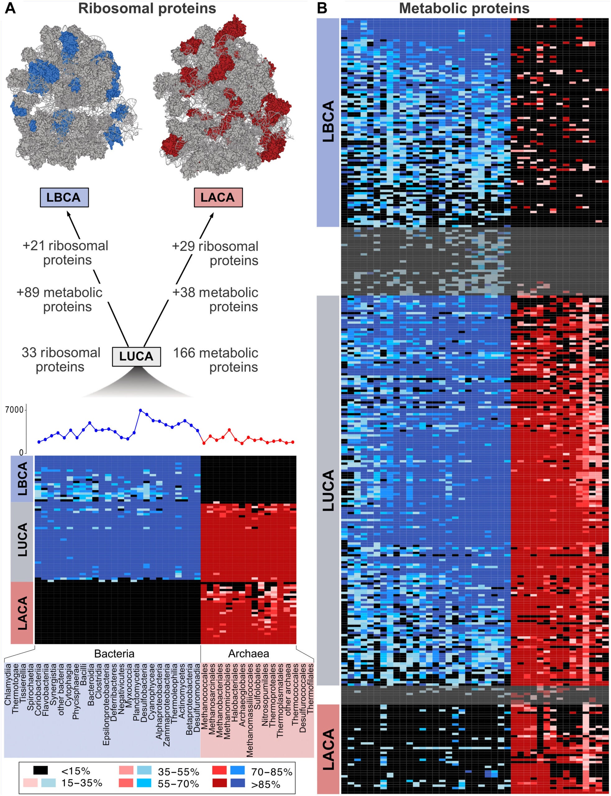 Distribution of ribosomal and core metabolism protein families across bacterial classes and archaeal orders.