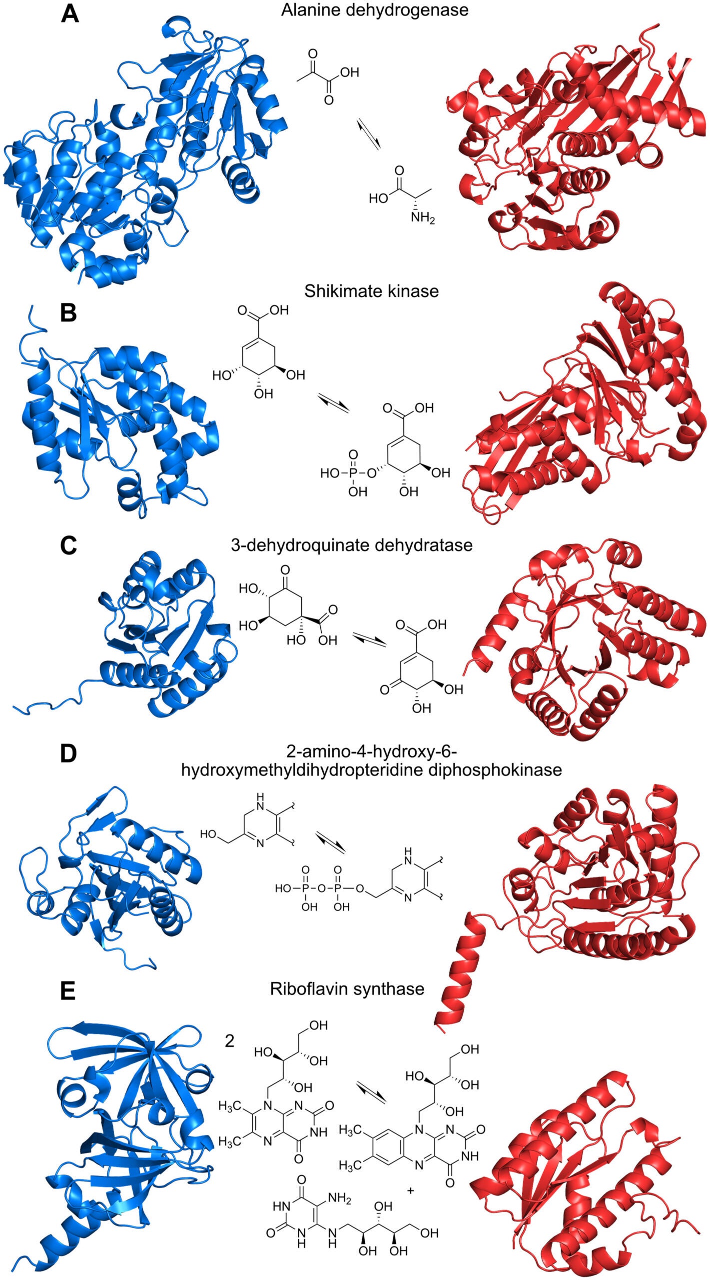 Protein families independently originated in the bacterial and archaeal domain.