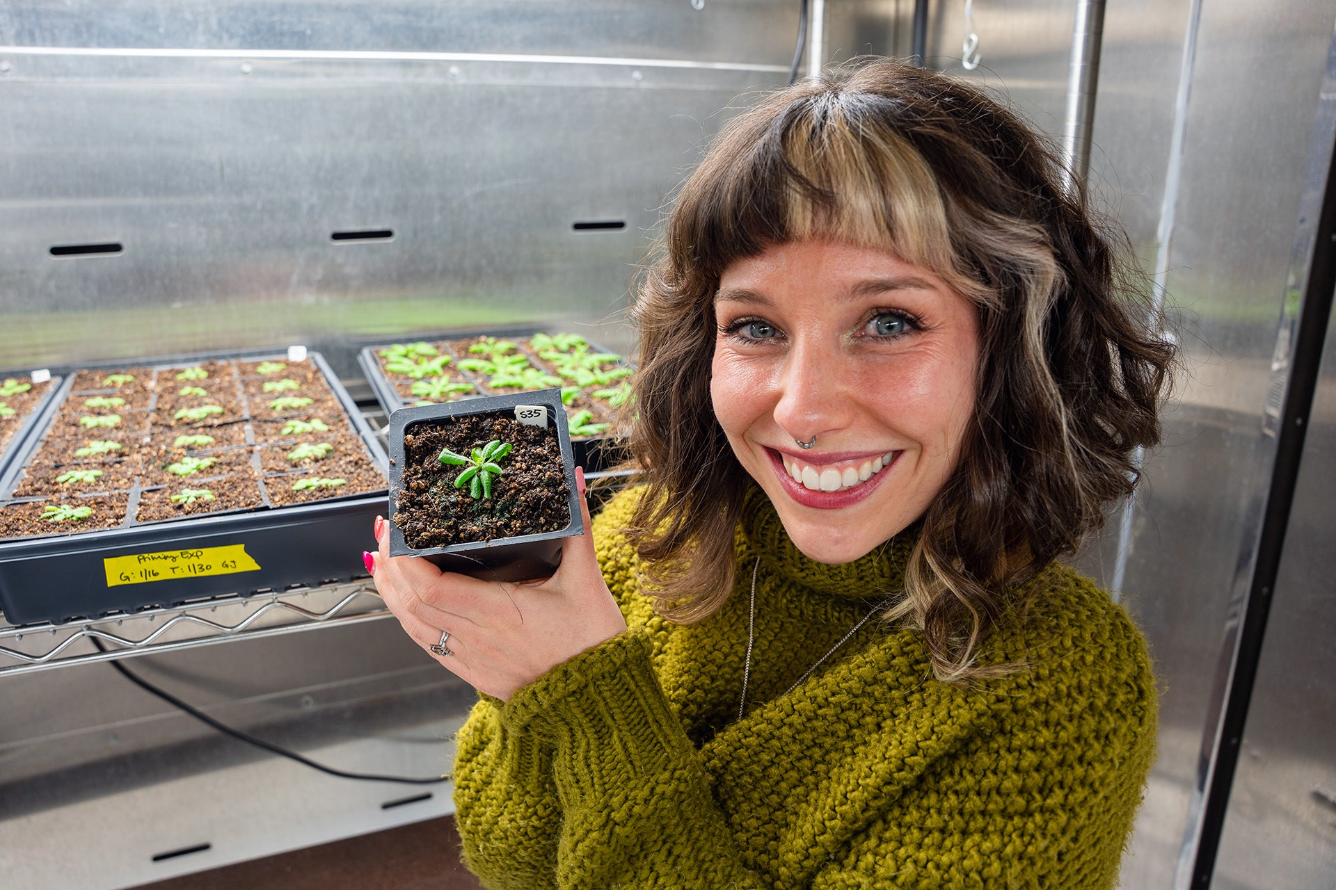 Plants Archives - The Brighter Side of News