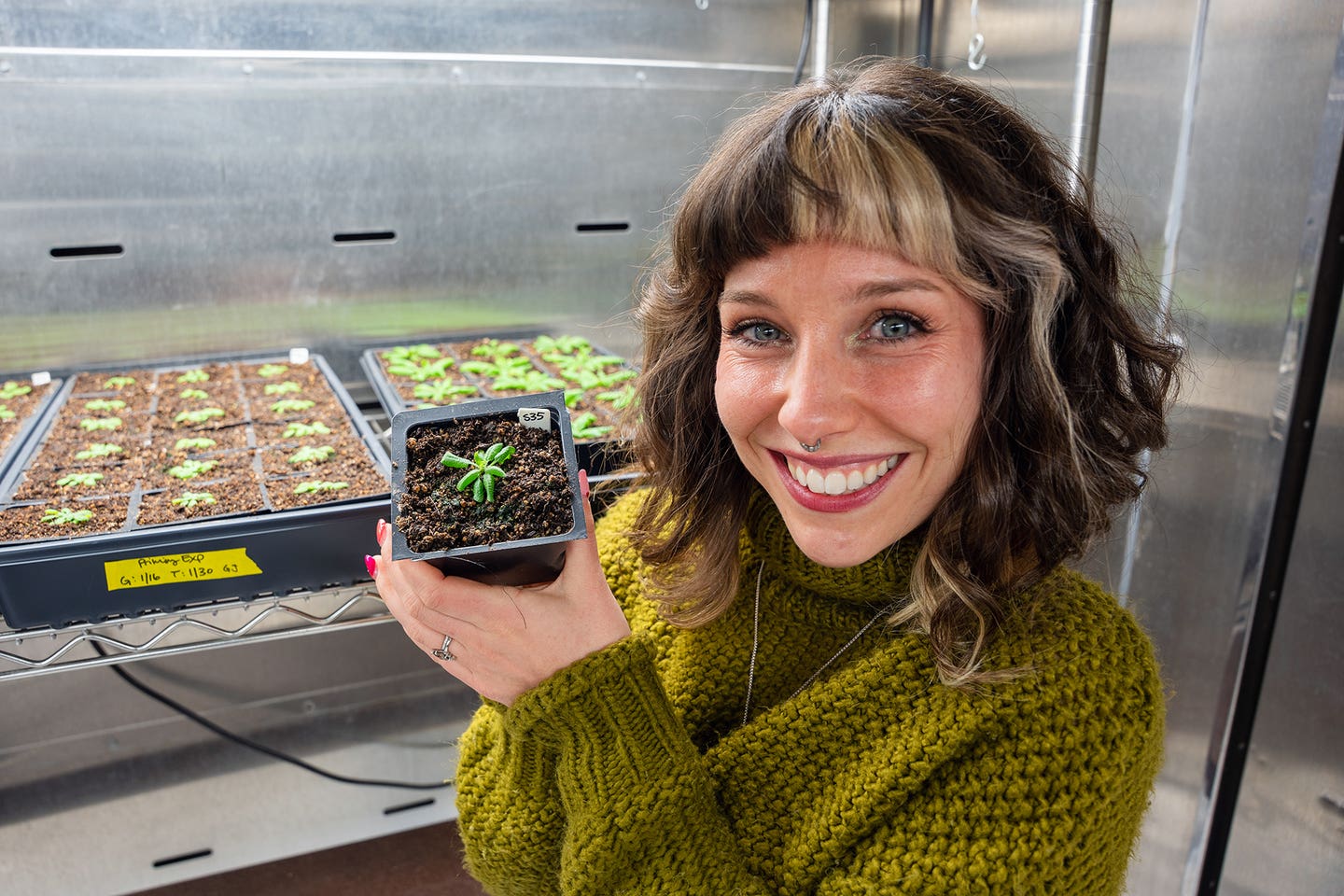 Grace Johnston led a study that manipulated hormones in a model plant species to make the plant more productive and resistant to disease.