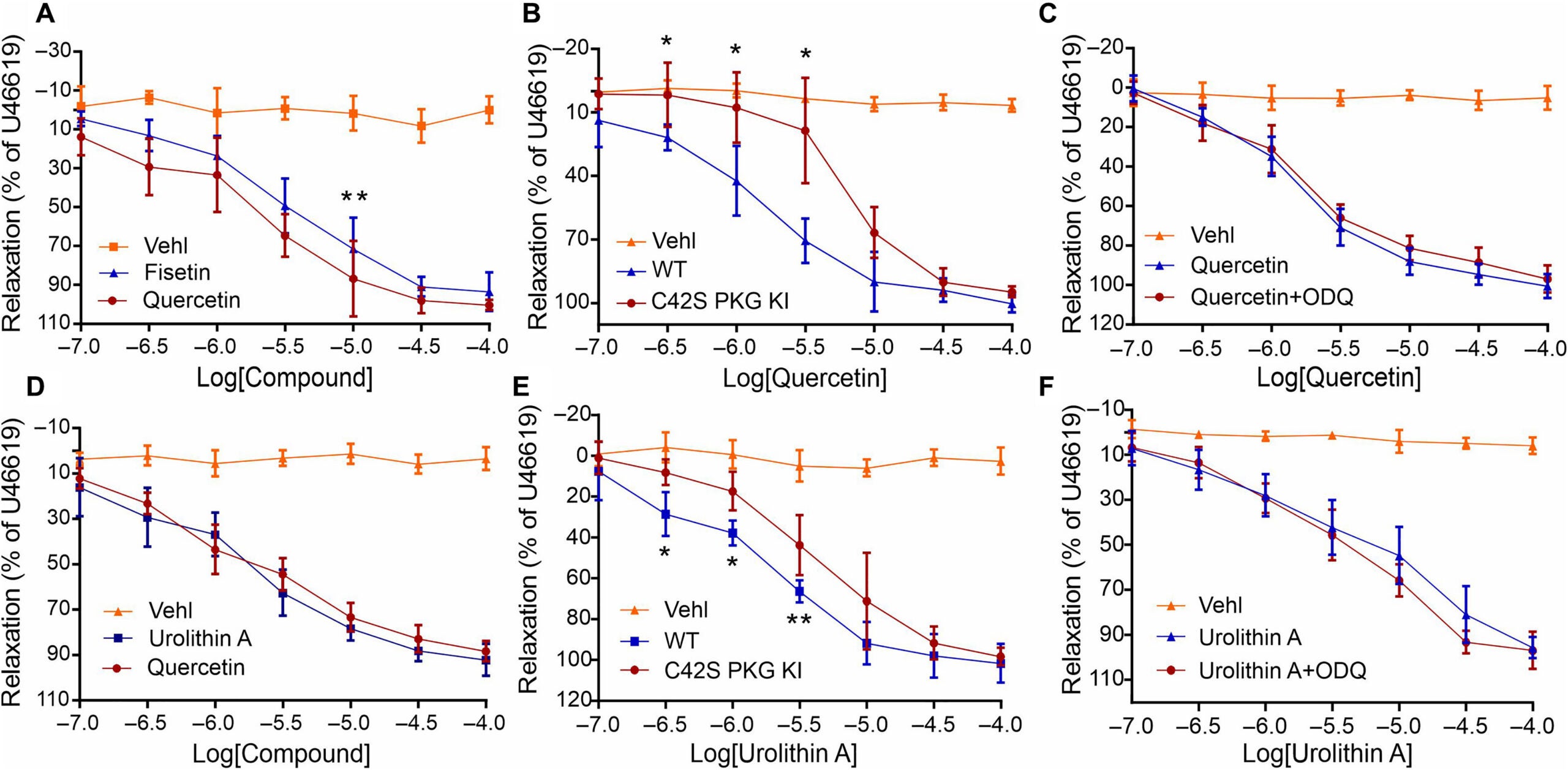 Quercetin and urolithin A induce PKGIα C42-dependent vessel relaxation.