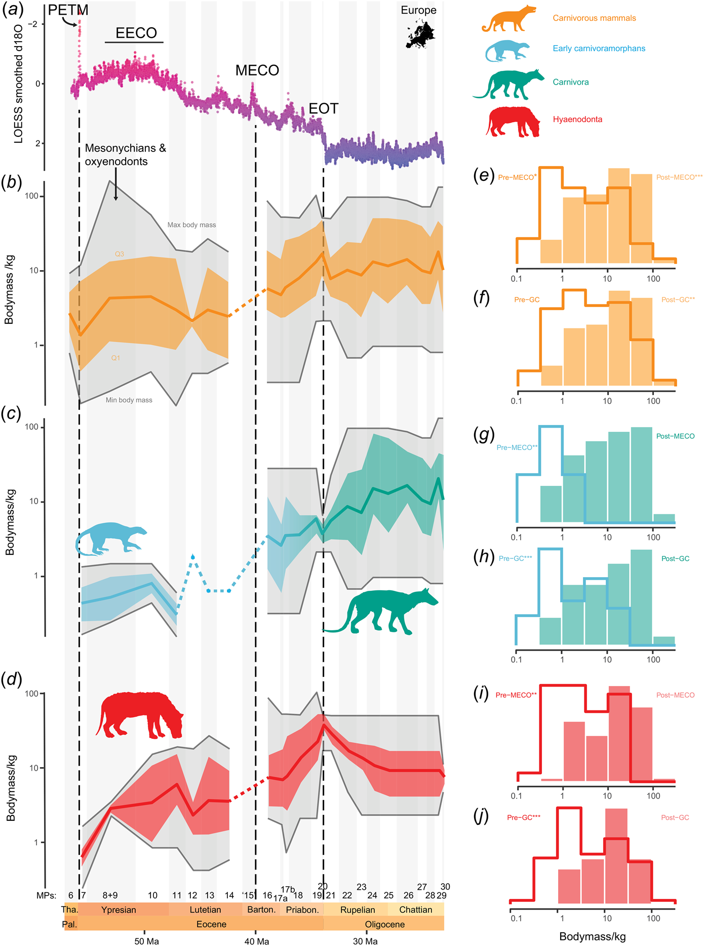 Evolution of Palaeogene sea surface temperatures (∂18O, scale inverted) using a 10 pts LOESS smoothed data from Westerhold.