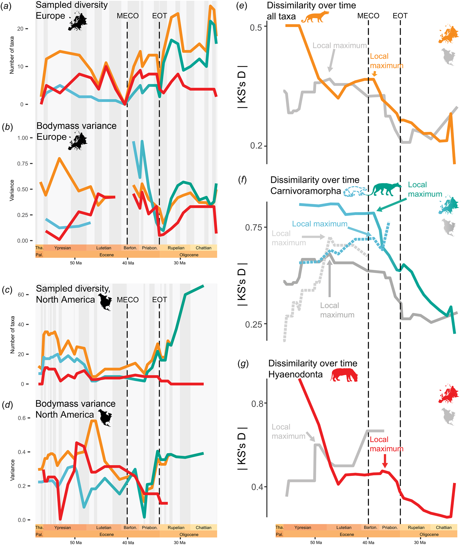 Temporal evolution of the sampled diversity (a and c) and BM variances (b and d) of Palaeogene carnivorous mammals in Europe (a and b) and North America (c and d).