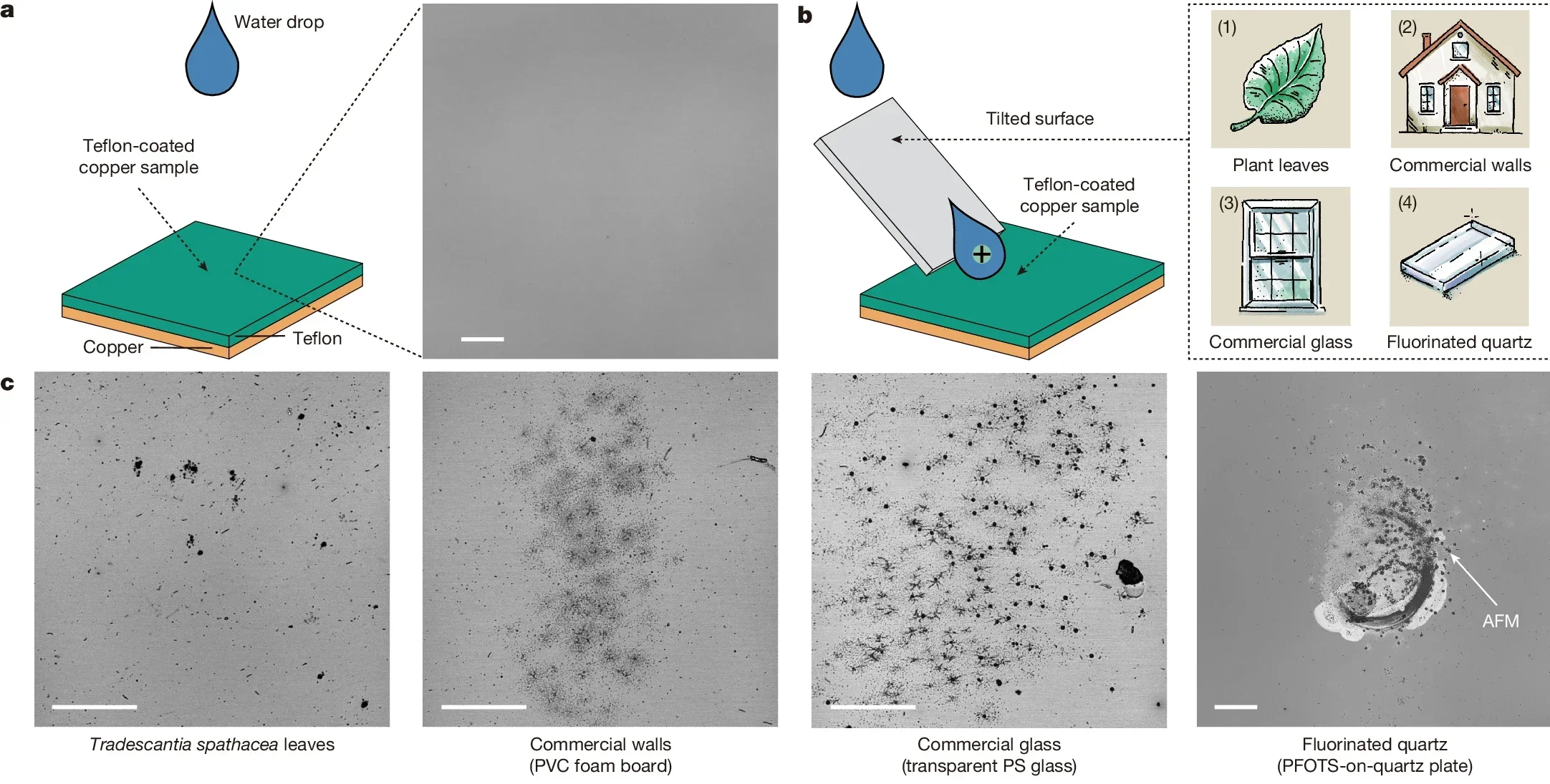 Corrosion induced by spontaneously charged water drops.