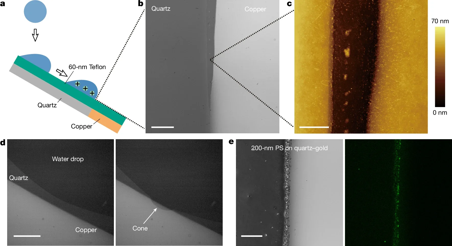 Sliding charged water drops induce corrosion at a specific position.