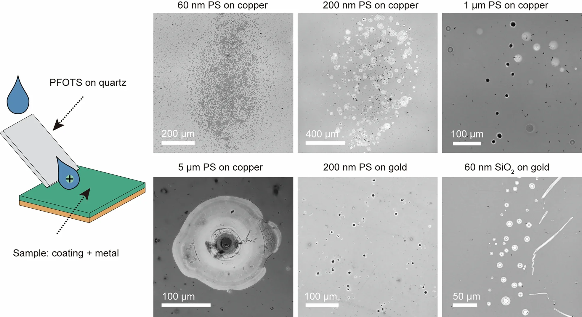 Corrosion of metal substrates protected by a coating.