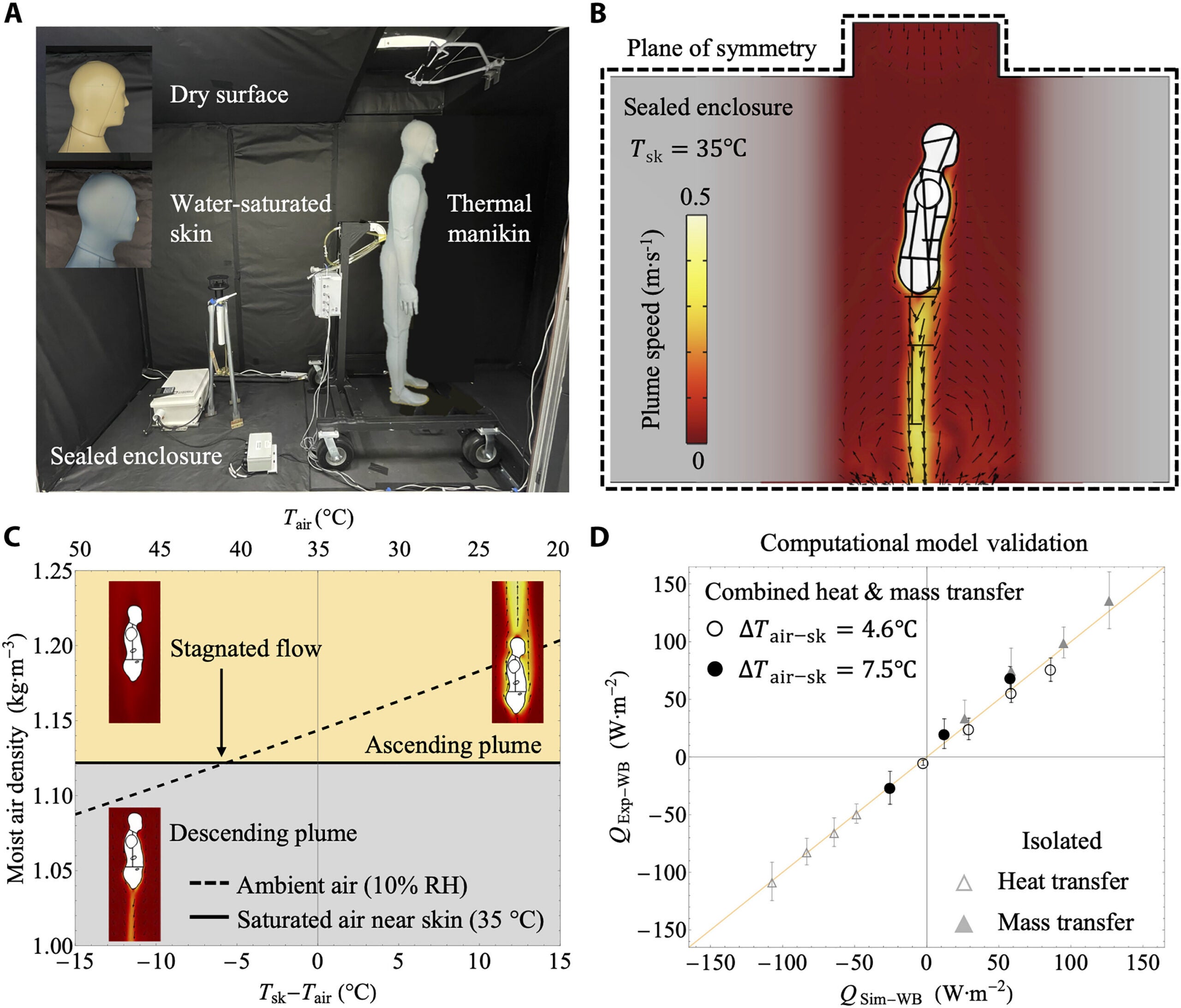 Experimental validation of the multiphysics numerical model.