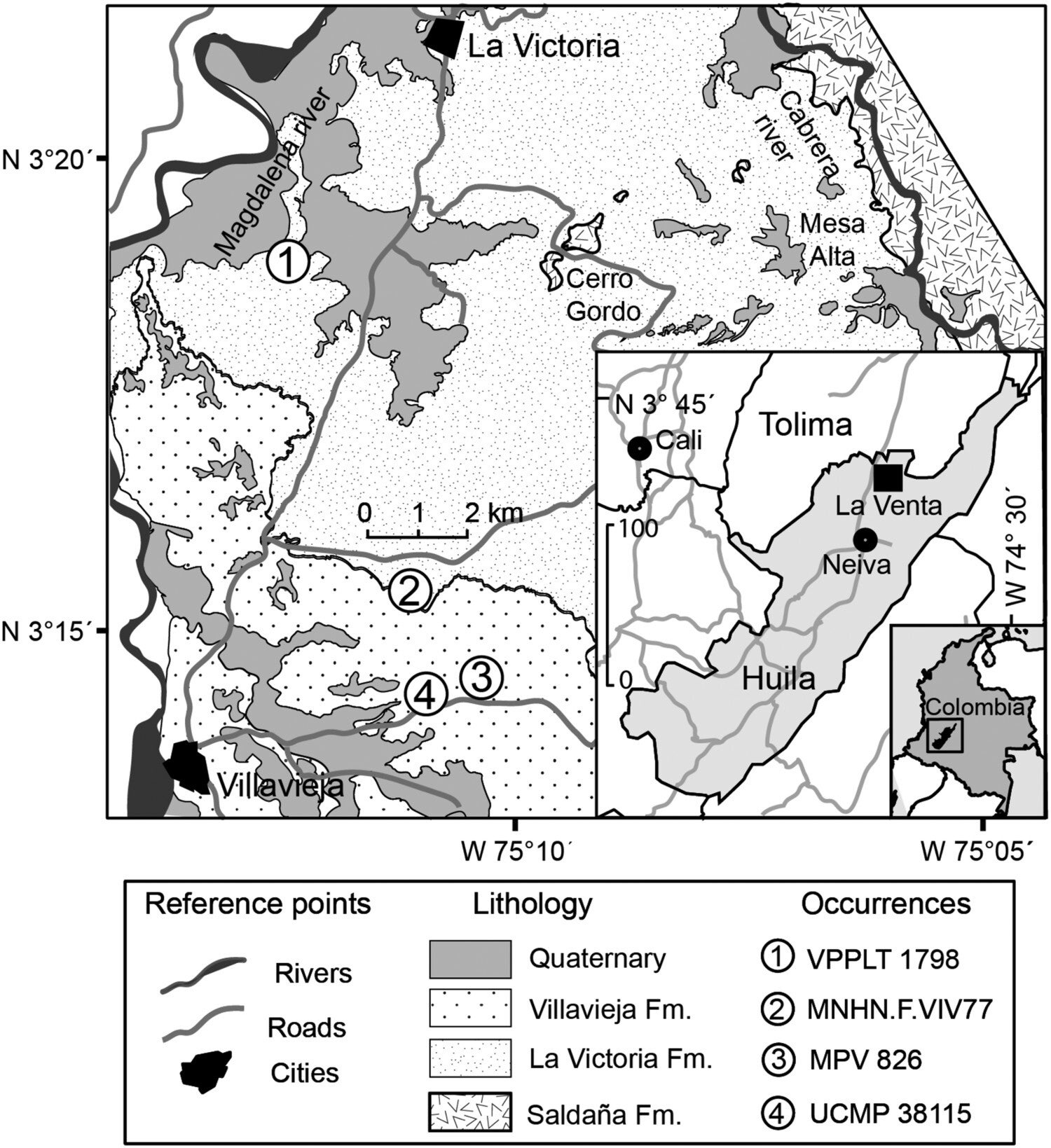 Schematic geological map showing the location of the ungulate fossils featuring evidence of predation by crocodylians within the La Venta region, Huila Department, Colombia. Redrawn from previous sources