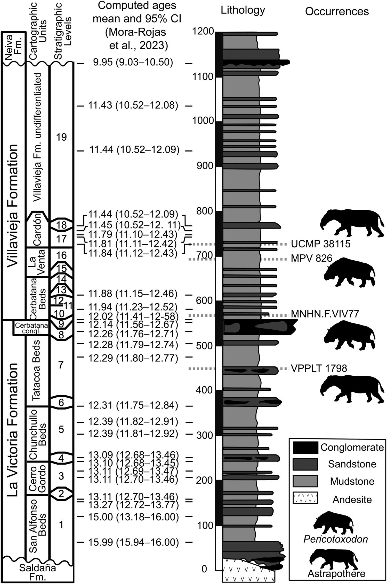 Stratigraphic column for the La Victoria and Villavieja formations at La Venta, Colombia, showing the relative stratigraphic position of the ungulate fossils with evidence of predation by crocodylians.
