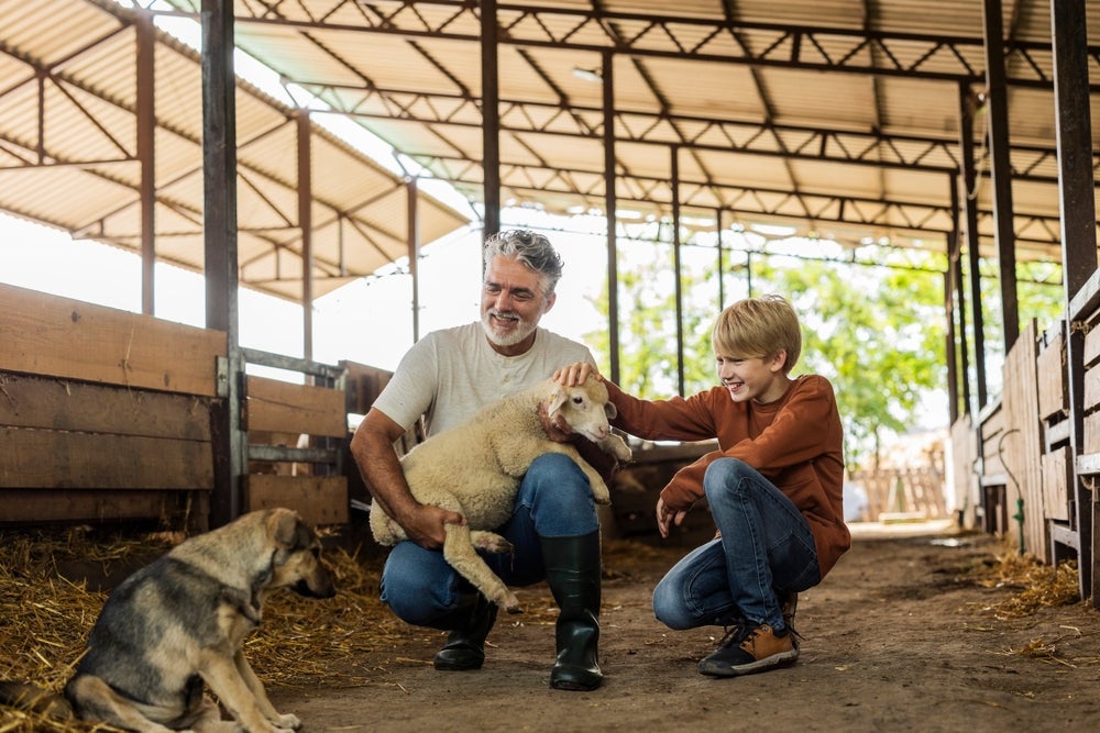 Modern breeds selected for close work and family life with humans showed broad changes in communication-related brain networks. 