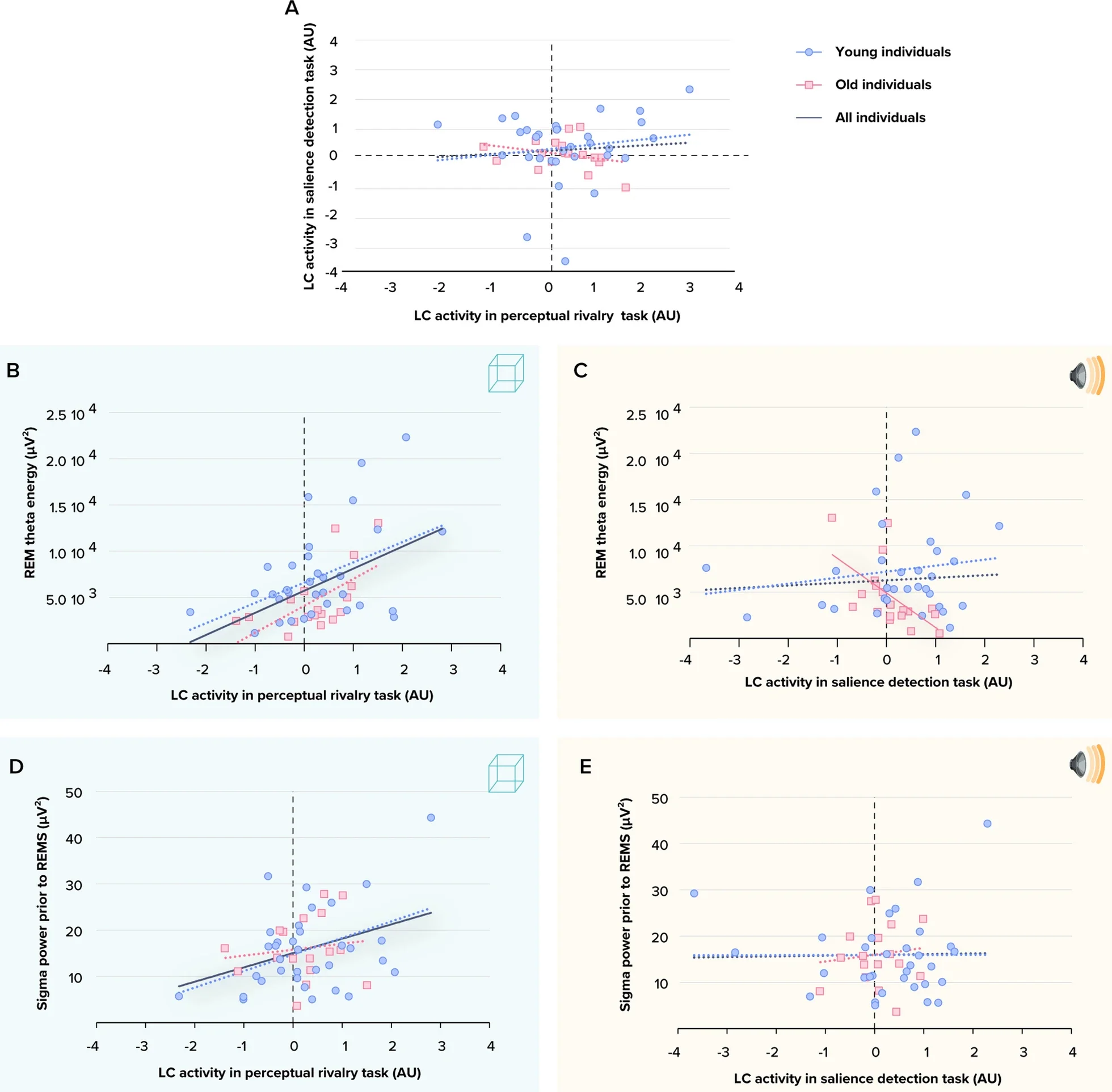 Associations between LC responses during each tasks and REM sleep features of interest.