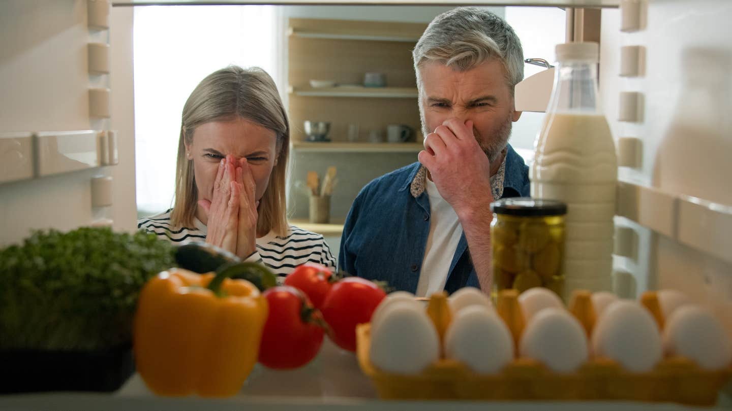 A new electronic nose uses sensors and AI to detect food spoilage and allergens, offering a safer and smarter way to monitor freshness.