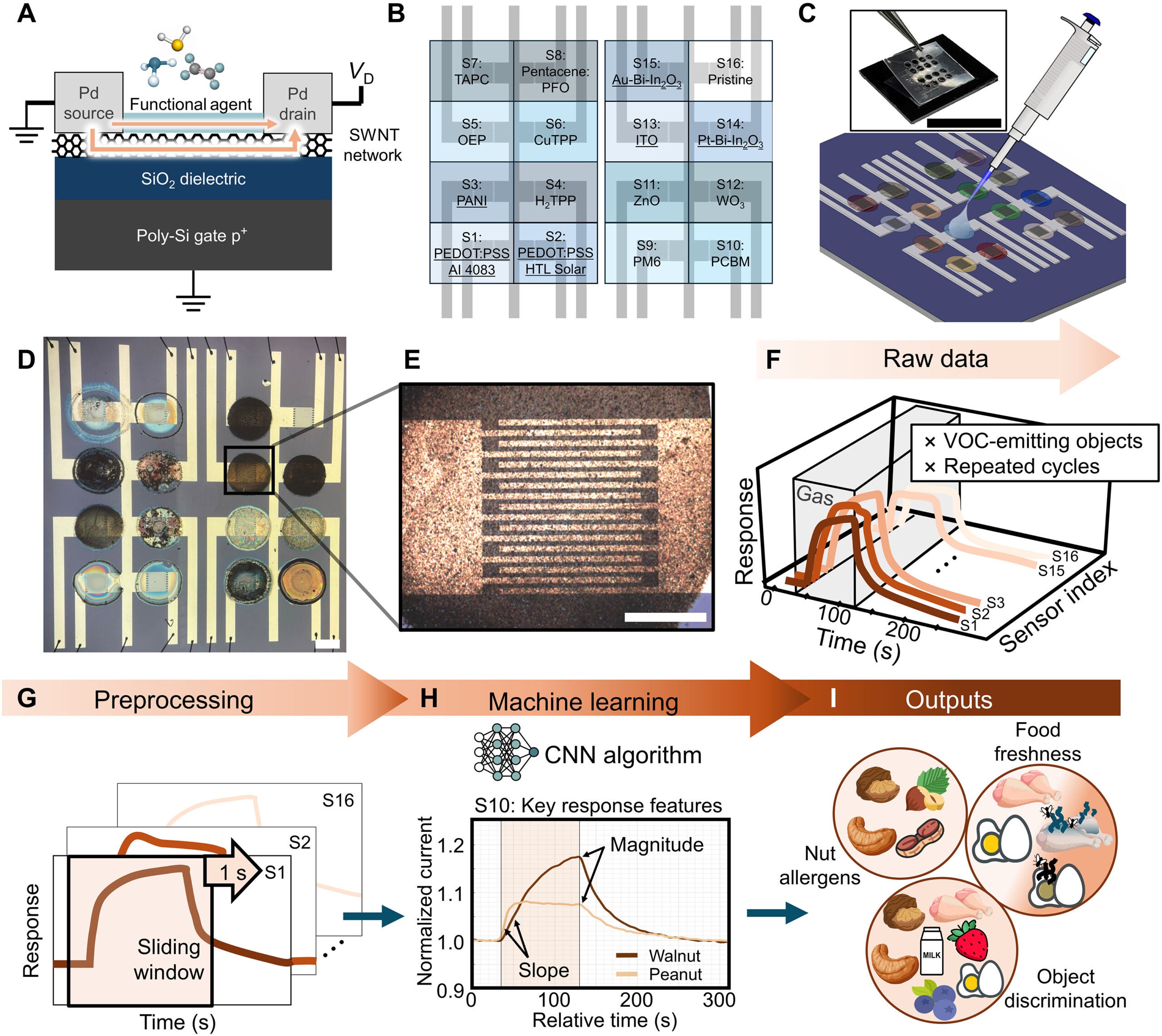 Overview of this study.