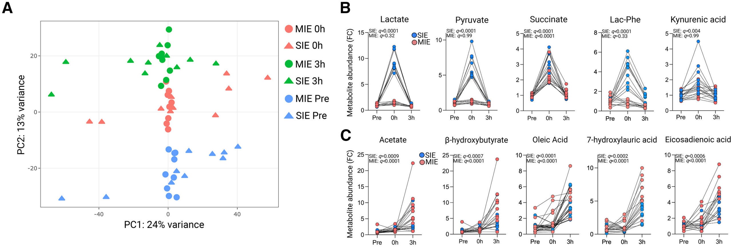 The plasma metabolome following SIE and MIE