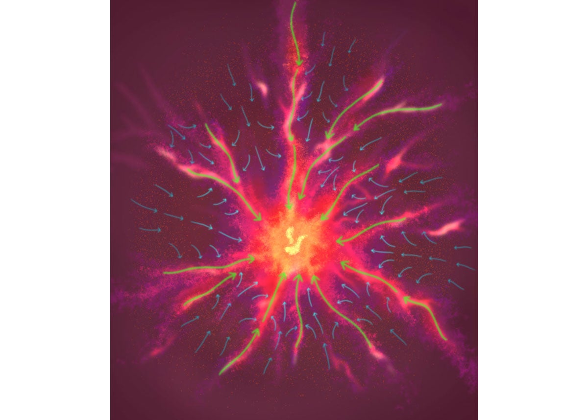 From inter-filamentary gas to filaments and hubs: gas flow in the Monoceros R2 star-forming hub-filament system. Illustration of the Monoceros R2 hub–filament system showing how the gas flows along the filaments (green arrows) and in the inter-filament regions (blue arrows) towards the central hub.