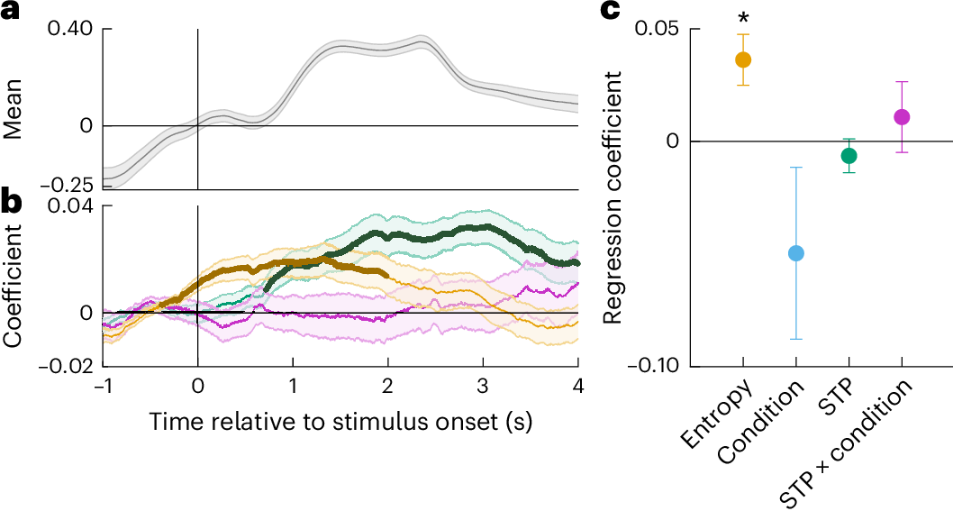Pupil and EEG correlates of STP.
