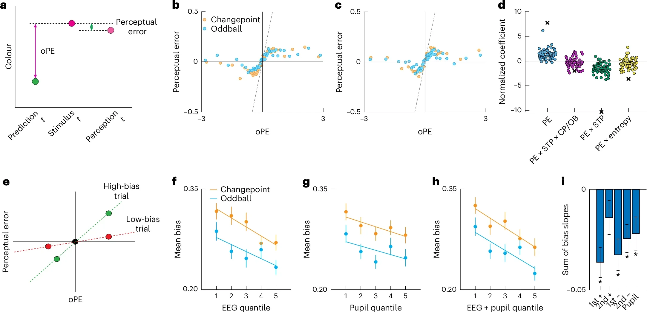 EEG and pupil signals that reflect state transitions correspond to reductions in perceptual bias.