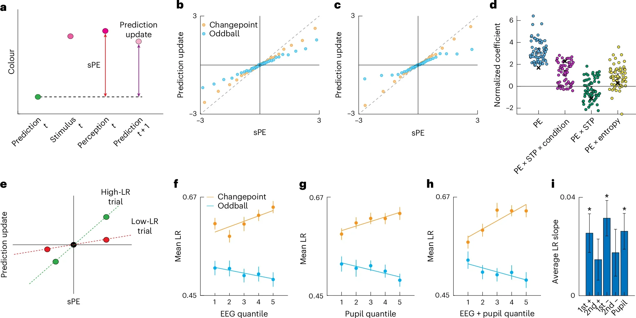 EEG and pupil signals that reflect state transitions are related to bidirectional adjustments in learning rate.