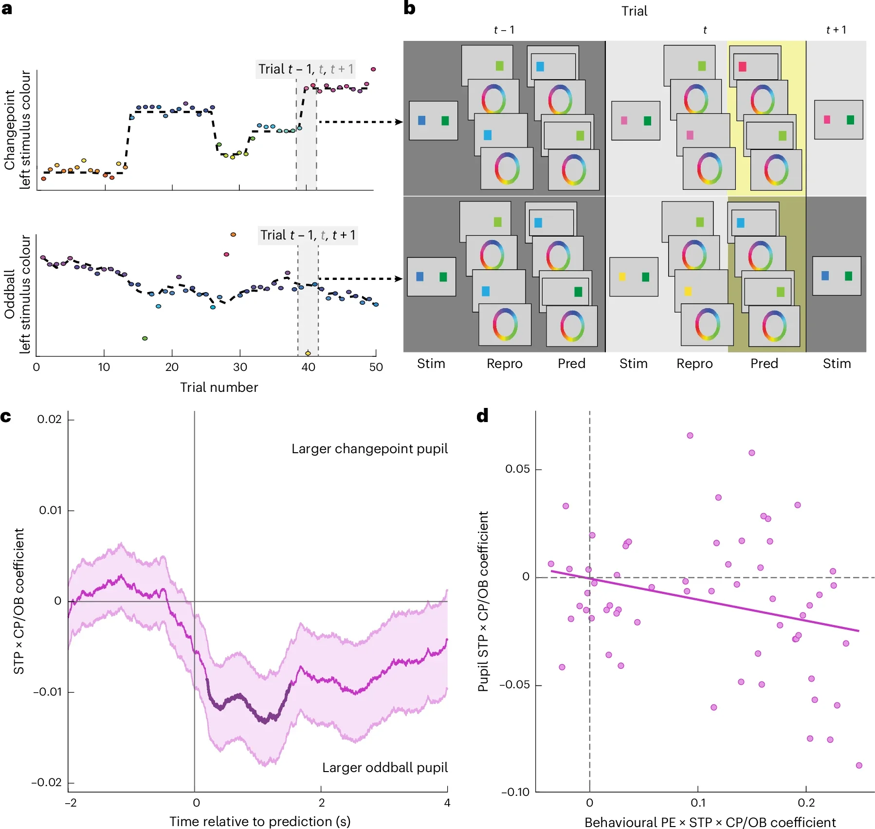Delayed pupil dilations on oddball trials are consistent with reflecting an internally generated latent state transition.