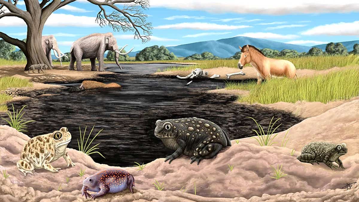 An illustration credited to Arturo Davalos that reconstructs a Late Pleistocene wetland at Rancho La Brea.