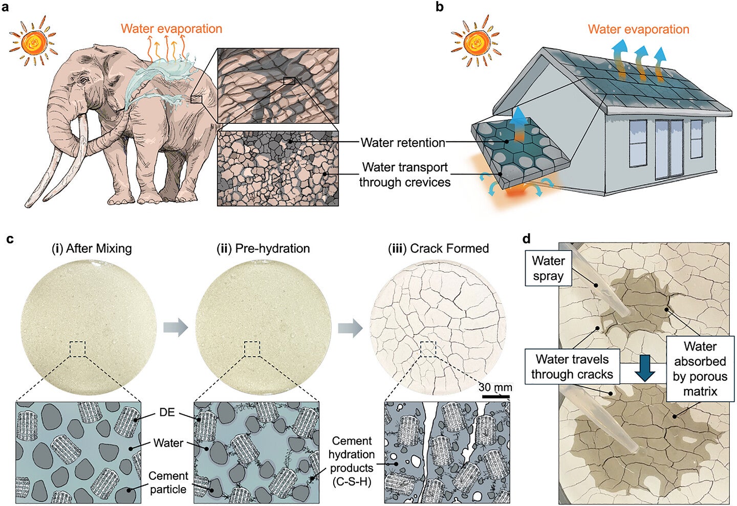 Bio-inspired porous-cracked tiles for water capture and transport.