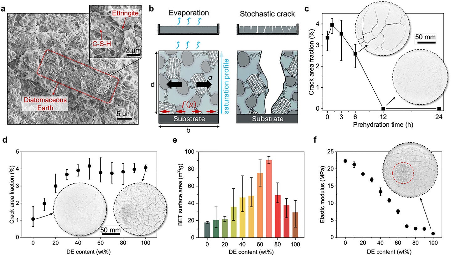 Early hydration, shrinkage-driven cracking, and material property evolution.