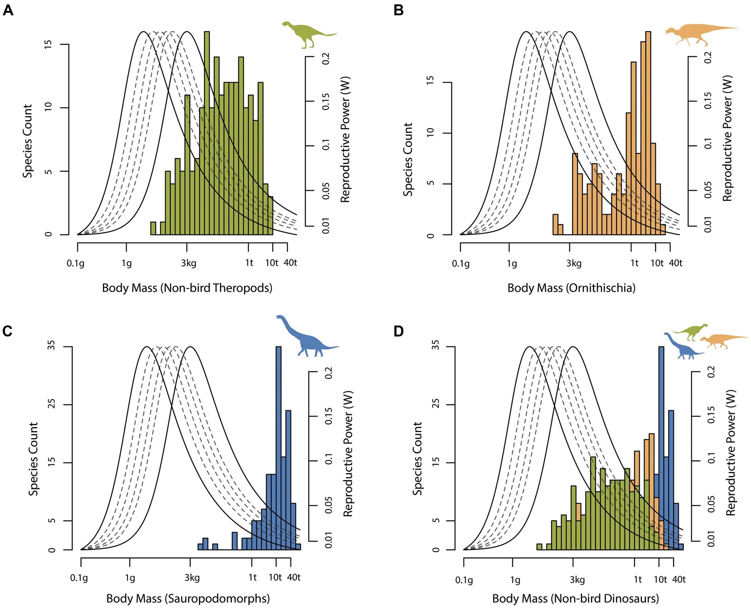 Distribution of reproductive power across non-avian dinosaurs. (A) Distribution of reproductive power across theropods. (B) Distribution of reproductive power across ornithischians. (C) Distribution of reproductive power across sauropodomorphs. (D) Distribution of reproductive power across all non-avian dinosaurs.