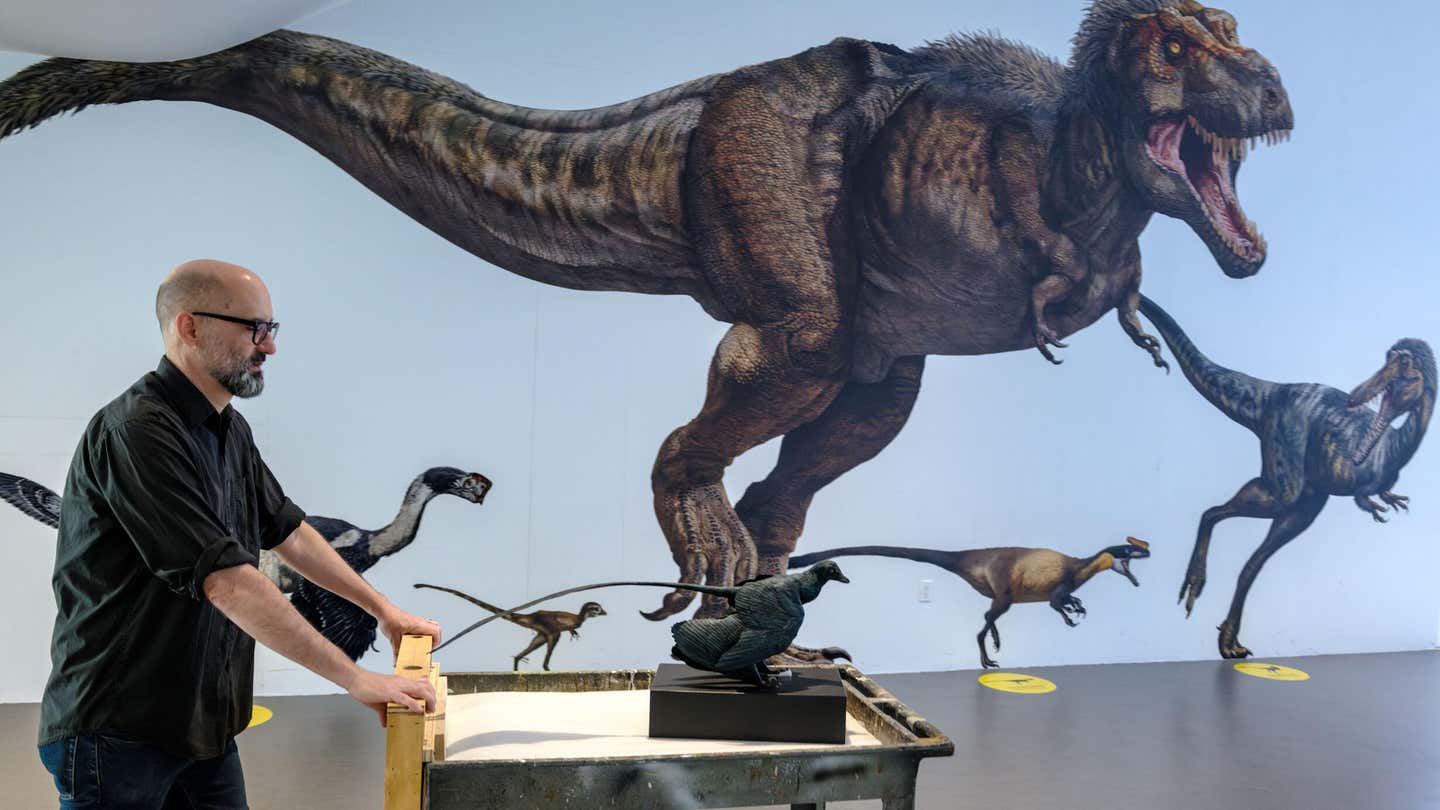 Sr Principal Preparator Jason Brougham installing Microraptor. The smallest non-avian dinosaurs never reached mouse size, and competition with early mammals may explain why.