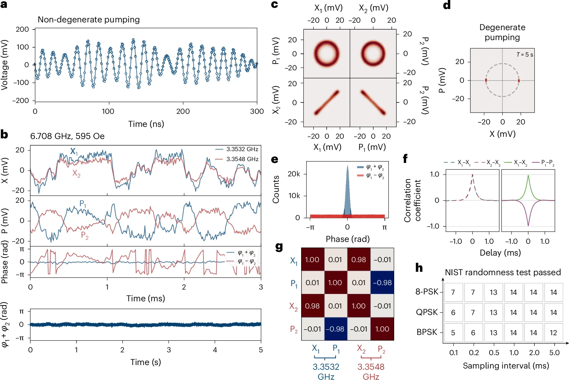 Magnon polariton dynamics and correlation.