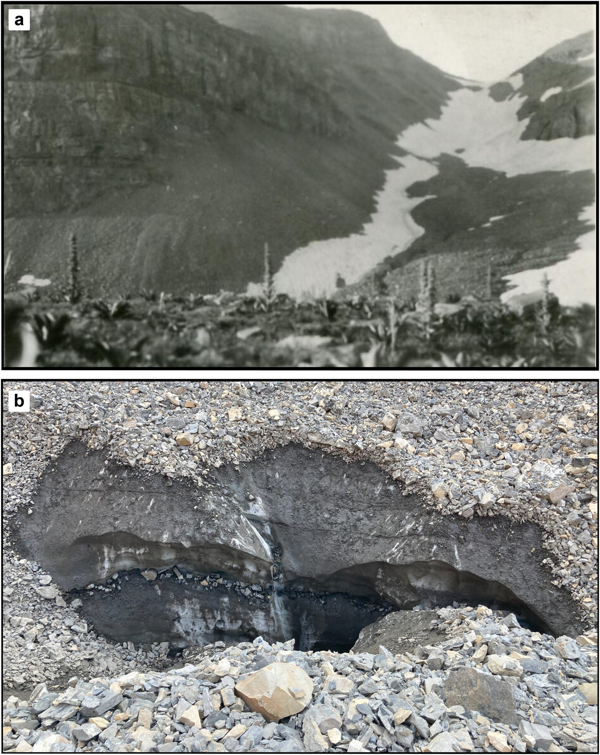 Images of Timpanogos Rock Glacier. (a) Photo of Timpanogos Rock Glacier on 1 August 1925, showing the rock glacier (right side of the frame) flanked by seasonal snow (CREDIT: University of Utah Photo Archives). (b) Image of a moulin-like feature on the upper portion of Timpanogos Rock Glacier, with layers of firn separated by thin debris layers.