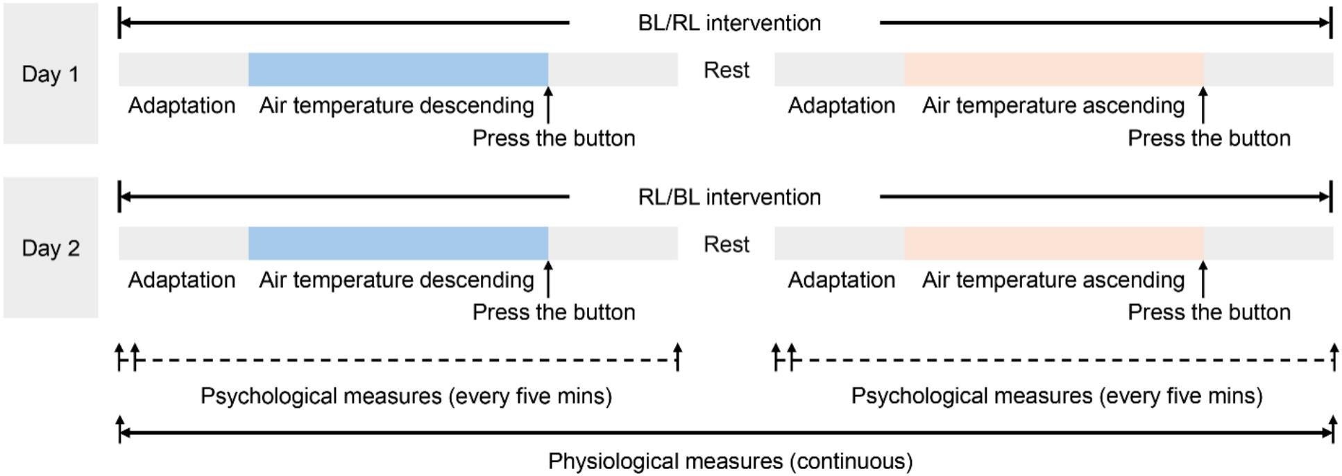 Experimental protocol diagram. Note that the horizontal axis does not represent time, as the duration of each experimental cycle is unequal.