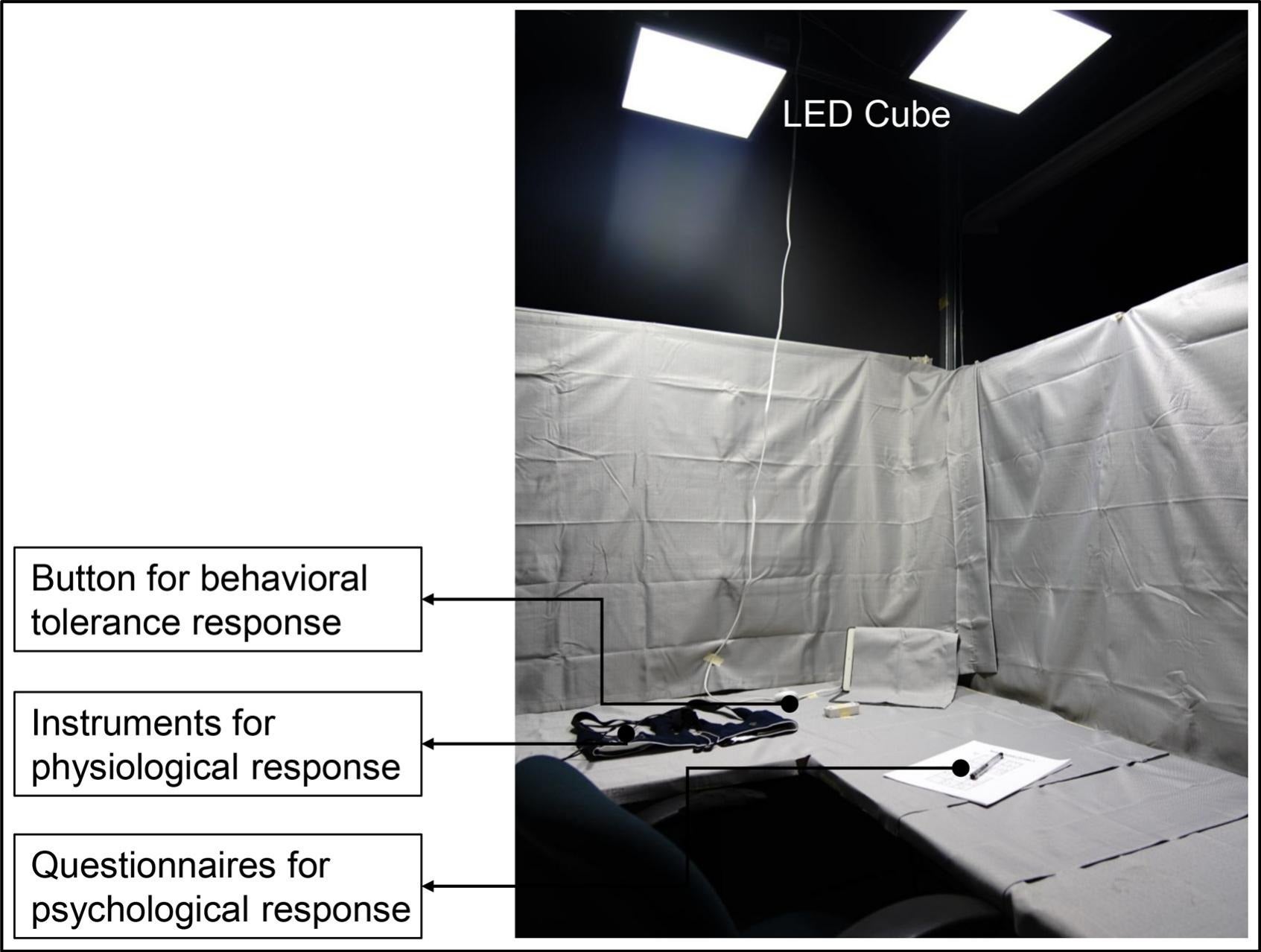 Schematic diagram.