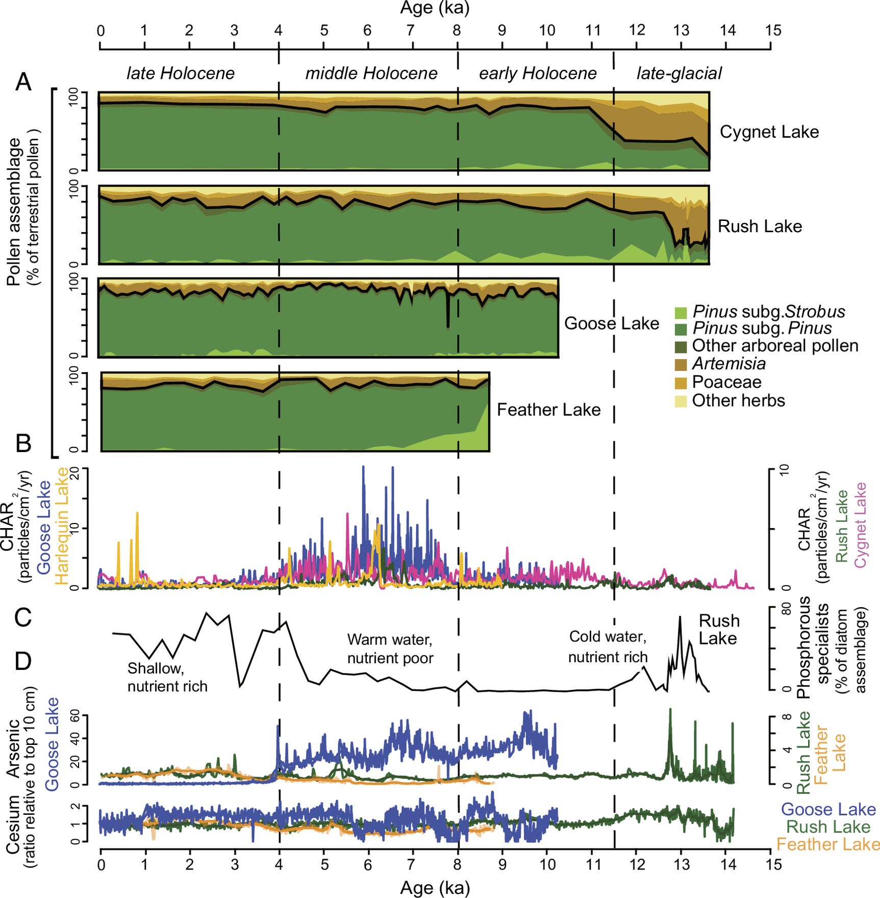Paleoenvironmental data from Lower Geyser Basin.