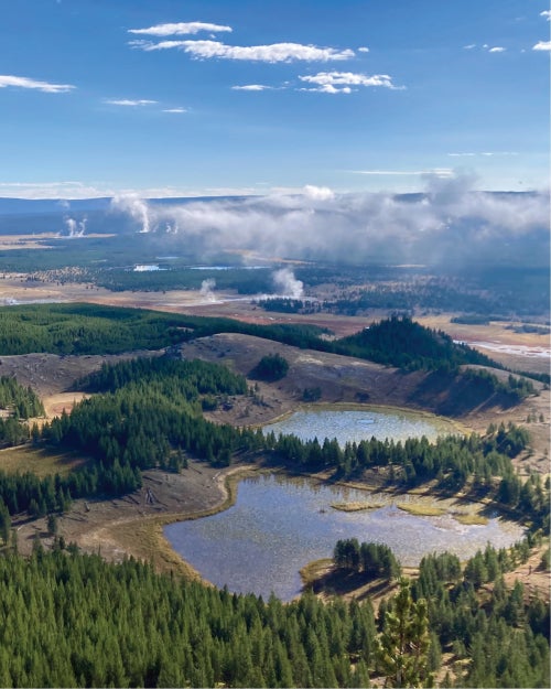 Lower Geyser Basin is the largest thermal area in Yellowstone National Park. MSU researchers studied sediment cores from the small lakes in the foreground and middle ground to reconstruct the environmental history of this active hydrothermal landscape. 